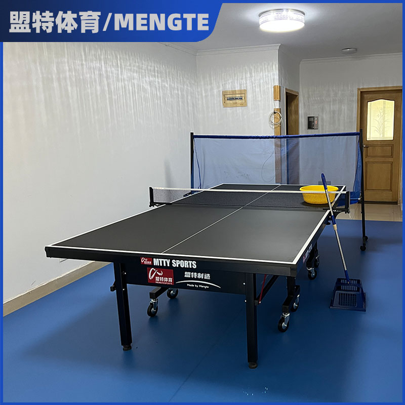 710公海寰宇乒乓球桌