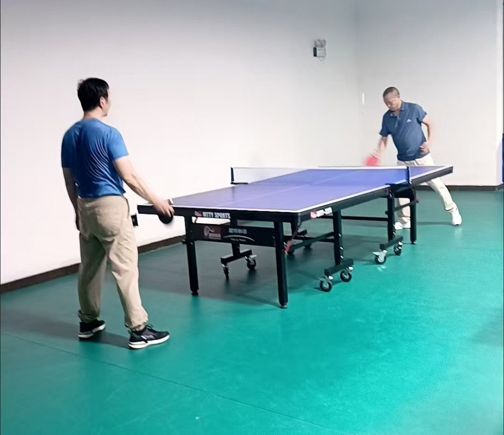 710公海寰宇乒乓球台源头生产工厂